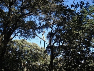  Curso de aventura.JPG 